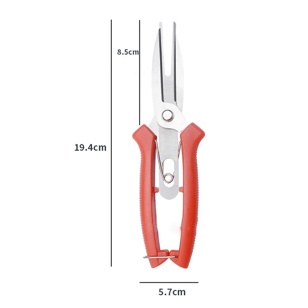 Double-edged Fruit Picking Scissors Garden Pruner Shears Citrus Tree Flower Cultivating Solid Multi-use Pruning Fruit Tree