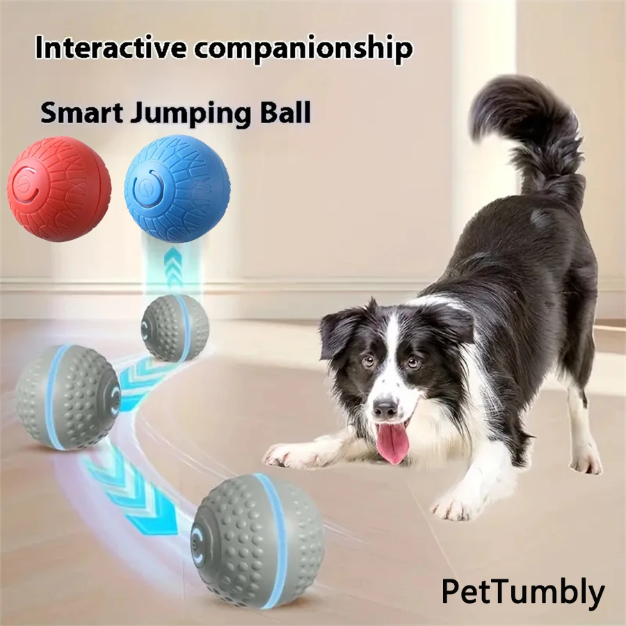 #16 Dog Balls Comparison Guide