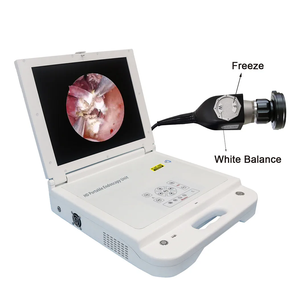 

2025 High Quality Pet Clinic Veterinary Portable Animal HD Video Vet Endoscope System for Sale
