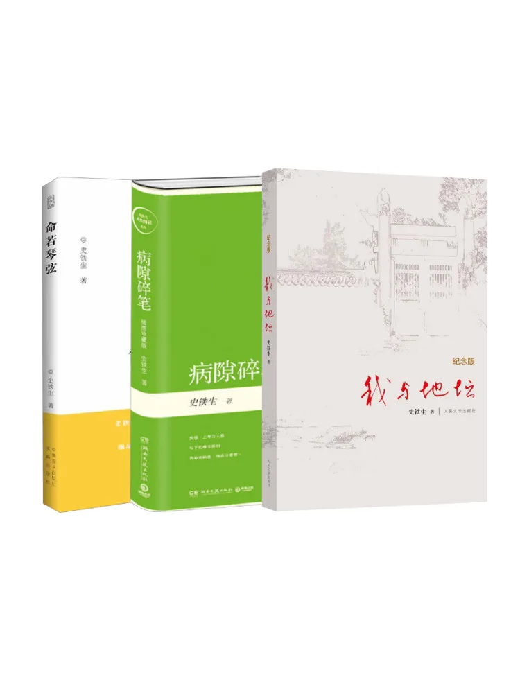 

Книга-Winshare I and the Temple Of Earth Сломанная ручка в иллюте Gap Life Like a String of a Violin