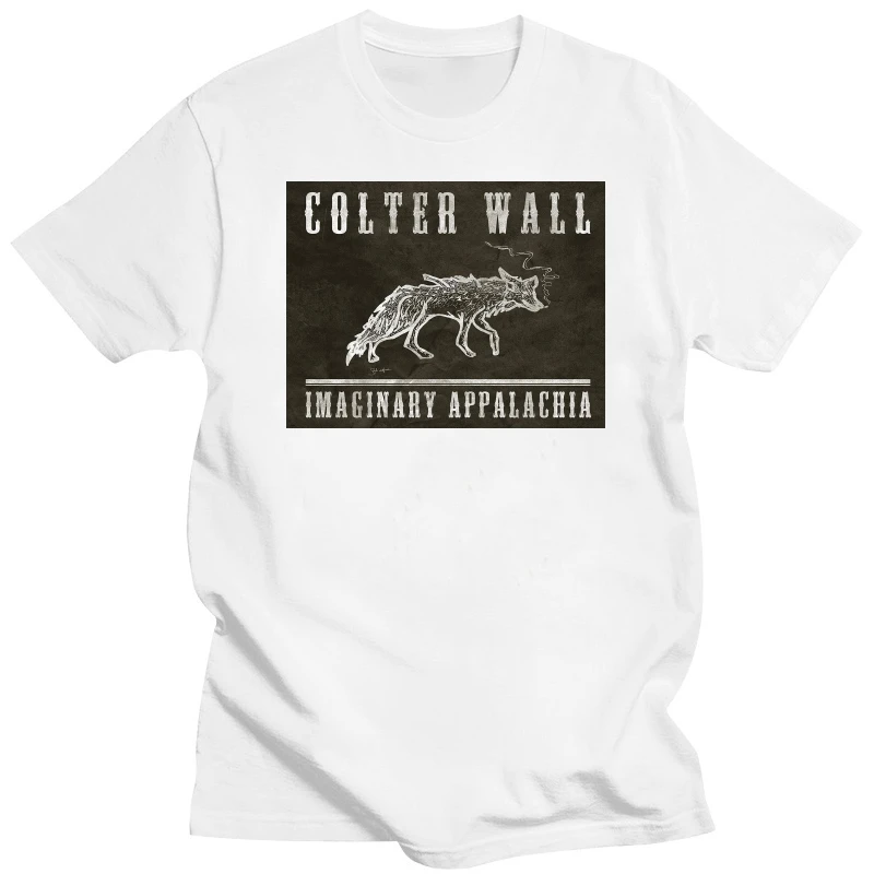 COLTER WALL T SHIRT imaginary appalachia vinyl cd cover SMALL MEDIUM LARGE XL