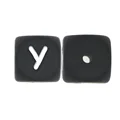 Y