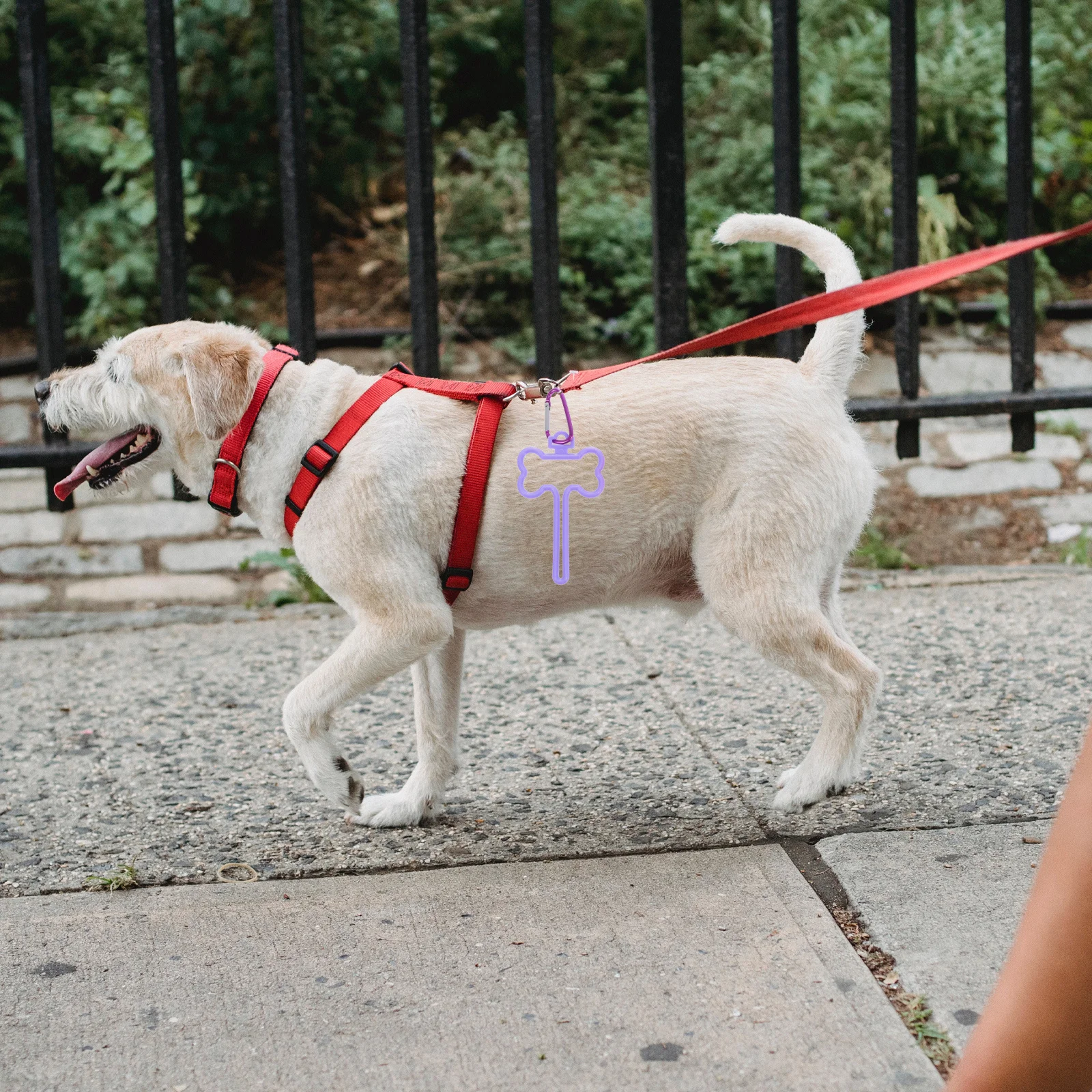 

3Pcs Dog Waste Bag Holders Premium Quality Durable Leash Clip Stylish Colors Mix Match Hands-Free Walking Dog Supply