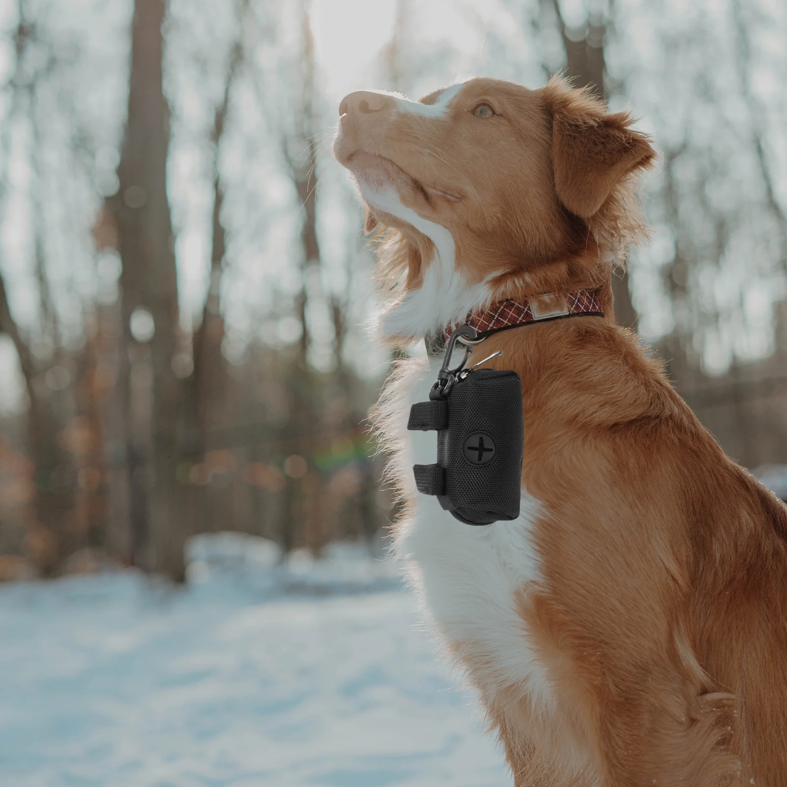 

Outdoor Pet Waste Bag Dispenser Holder Portable Lightweight Pouch Sturdy Construction for Long Term Use Waste Bag Distributor