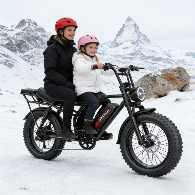 Nowe, tanie rowery elektryczne dla dorosłych, 14-20 cali, 1000W 2000W, 30-50 mph, 30-60 mil, 48V, ze stopu aluminium, dwukołowe rowery elektryczne.