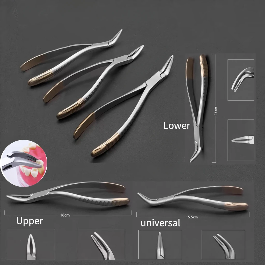 

Dentistry Root Fragment Tooth Extraction Forceps Minimally Invasive Tooth Tooth Pliers Maxillary Mandibular Dental Instrument