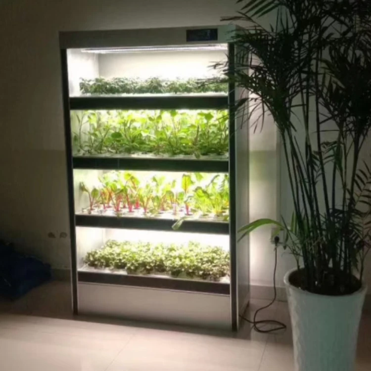 Hydroponics System for Fruits Vegetables Growing System Aquaponic Automated Led Grow Lights with Fish Tank Greenhouse