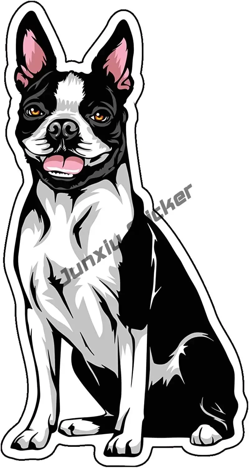 Рисунок 6 - Улыбающийся Бостон-терьер