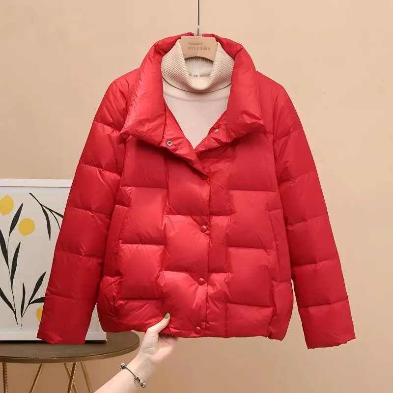 ضوء الريشة 2025 منتفخ مقصوص. يقدم هذه السترة خفيفة الوزن للغاية وكبيرة الحجم بأسلوب سهل وراحة كبيرة الحجم. #3