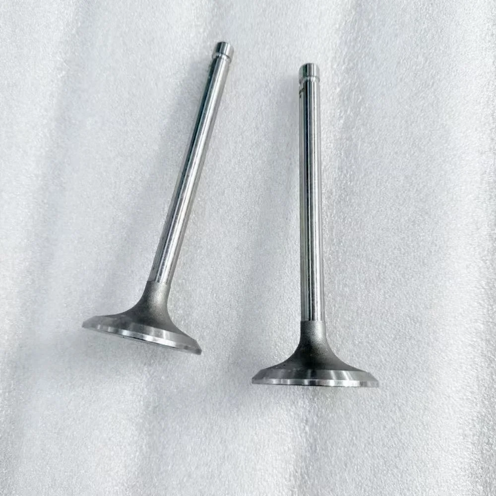 330-1007011D Intake Valve Is Suitable for Yuchai Engine diese-l Engine Parts Intake Valve