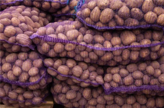 2025년 공장 직영 레노 메쉬 과일 및 채소 포장용 고품질 인쇄 제품 가지 및 감자 포장 백