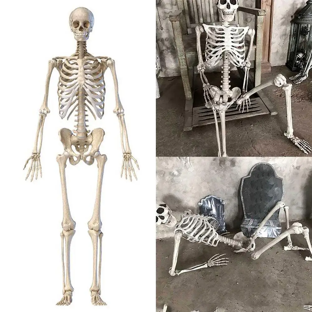 هالوين الهيكل العظمي البشري معلقة الدعائم المنزل الشر الطرف الديكور الرعب مخيف المنقولة زينة الجمجمة الكبيرة