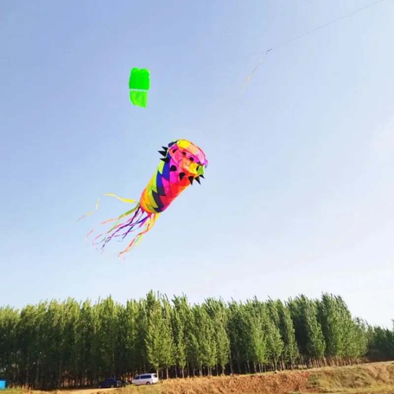 

Free Shipping giant kites windsocks kites tails flying inflatable toys cerf volant cometas de viento latawiec papalote windsurf