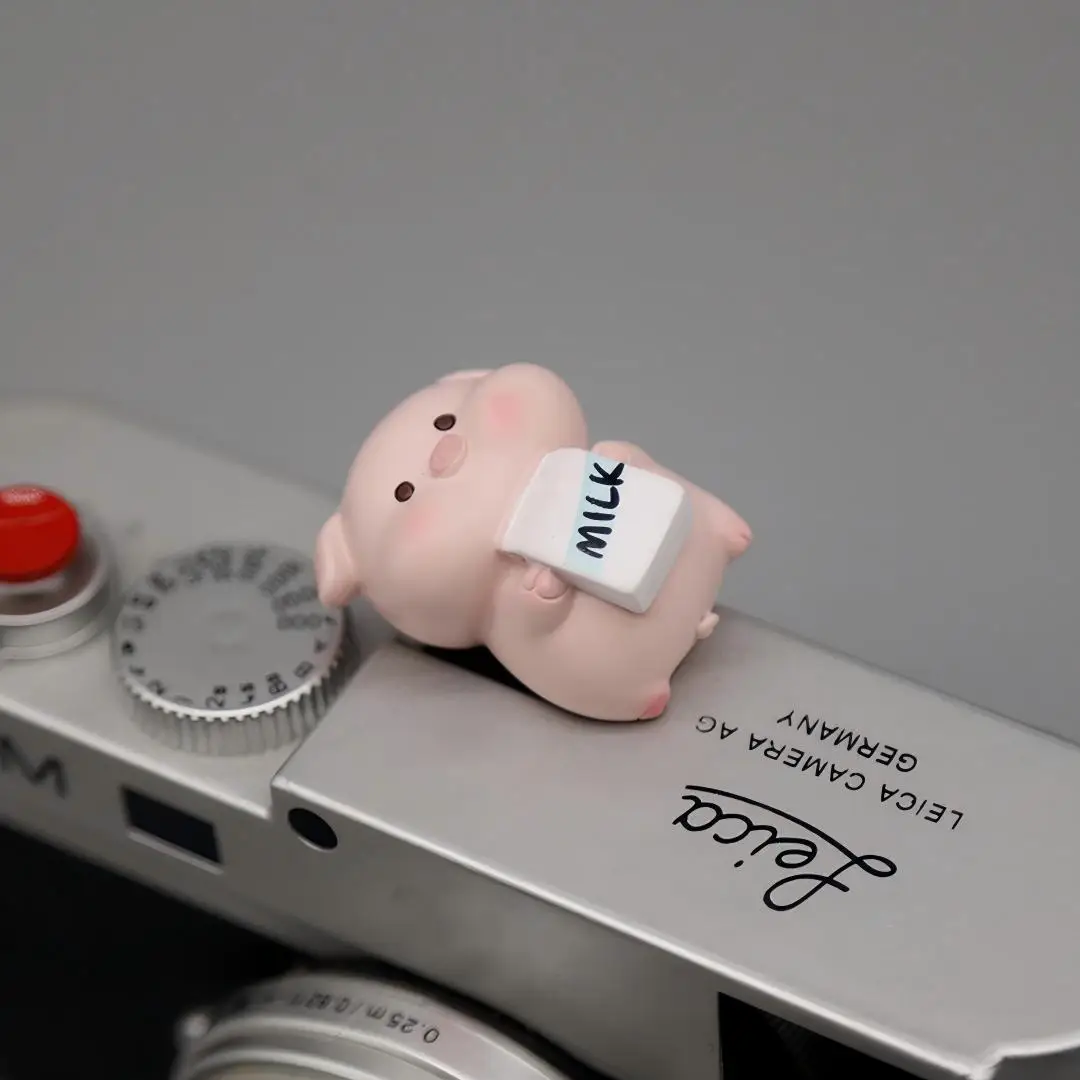 Niedliche Schweinchen-Universal-Blitzschuhabdeckung für Leica Q2 Q3 Fuji X100V X-T5 Sony ZV-1 ZV-E10 Canon EOS R5 Nikon Z5 Kamera-Zubehör
