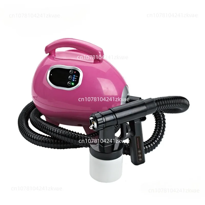 Sunless Tan Spray Machine Professional Electric   Airbrush  Salon SPA Beauty ning er Air Brush for Home