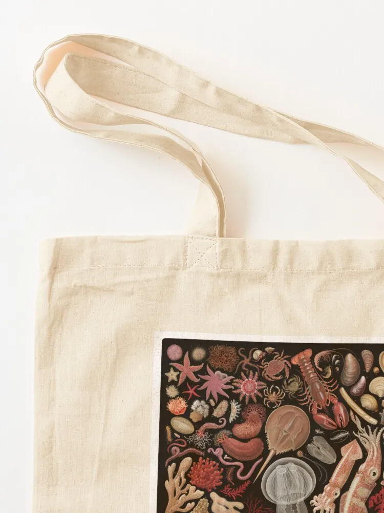 حقيبة تسوق Intertidal Life of the North Atlantic Tote Bag، حقيبة حمل لطيفة قابلة للطي #3