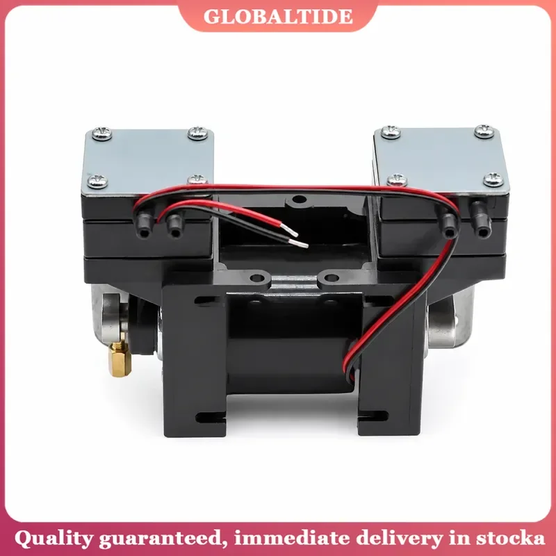 12V 220V High Positive Negative Pressure Vacuum Pump Large Beauty Instrument Mute Double Head Diaphragm Micro Air Pump