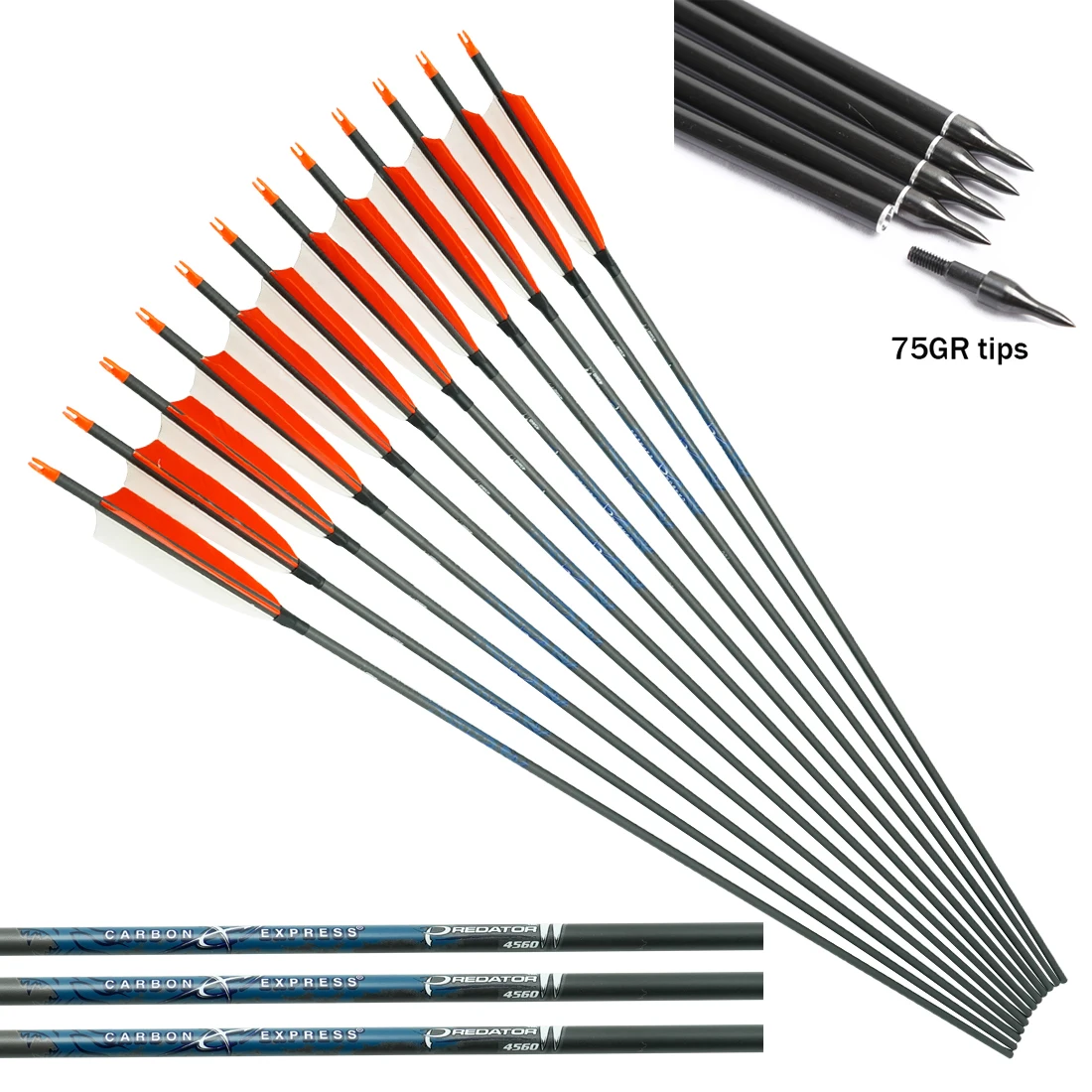 

Pure Carbon Archery Arrows, Turkey Feather, Spine 600 Compound Bow, Hunting Shooting, ID6.2mm, 4Inch, 12Pcs