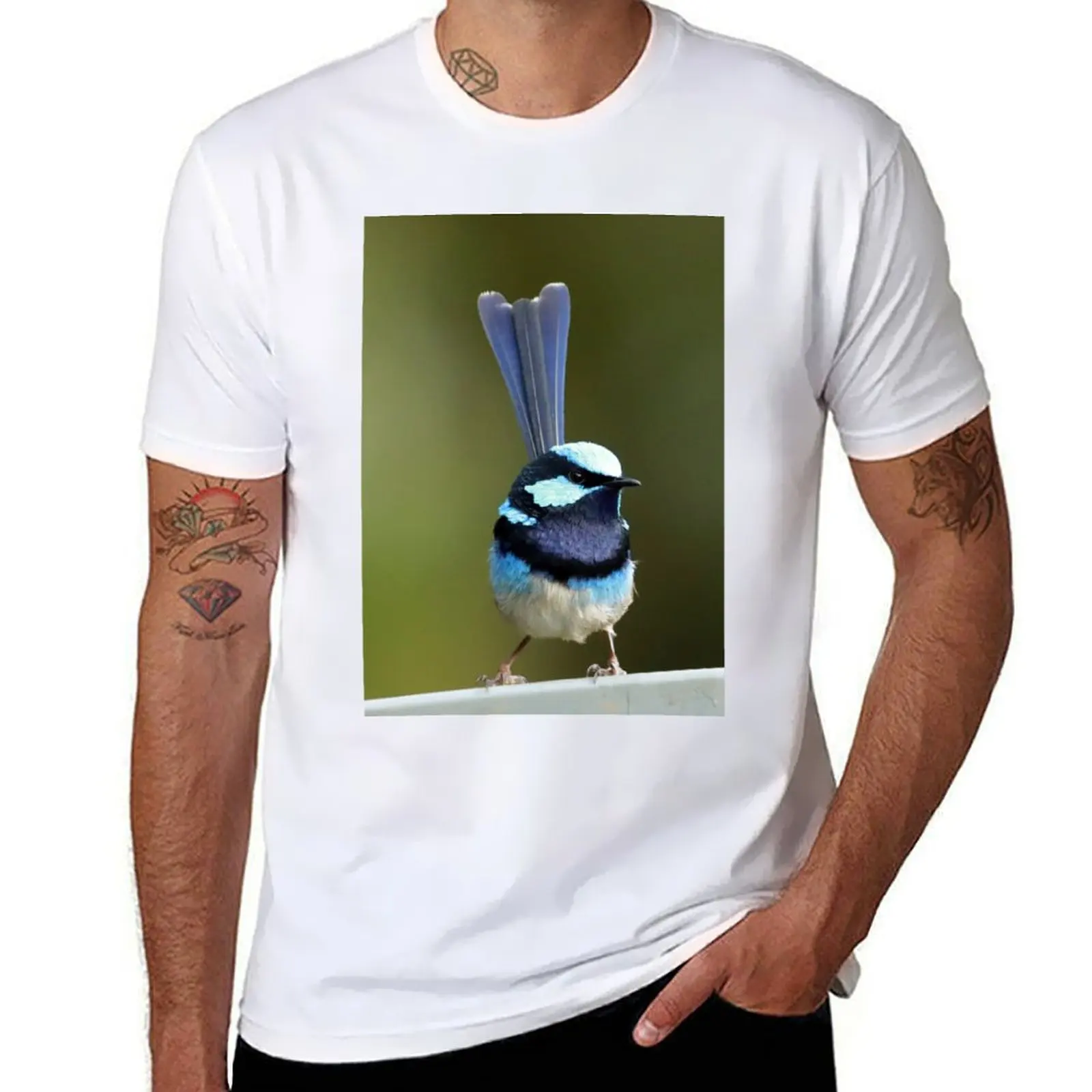 Blue Superb Wren 7214 T-Shirt oversizeds summer clothes blue lock mens graphic t-shirts funny