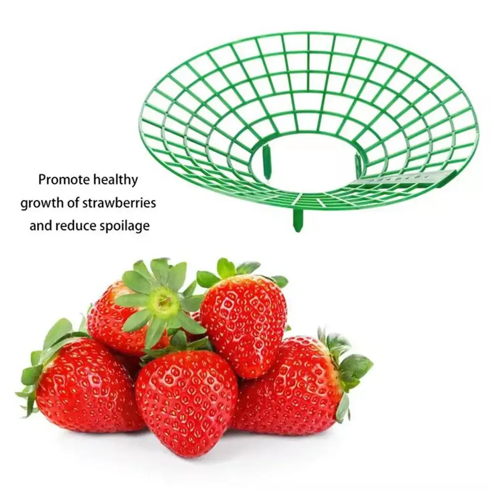 Strawberry Planting Tray Bracket Gardening Potted Fruit Anti-leaf Splicing Fruit Frame Orchard Green Plant Rotten Support S4t4