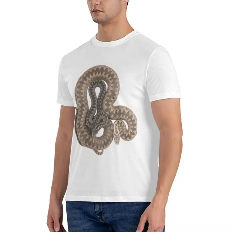 Vipera berus, male and female (European adder) Graphic T-Shirt heavyweight t shirts boys animal print shirt