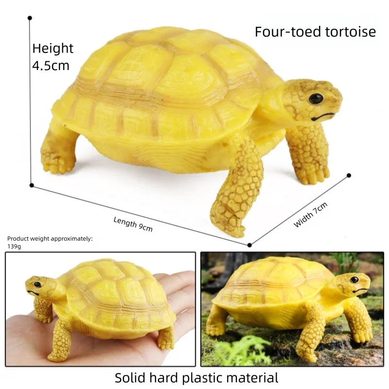 Oenux Simulations-Schildkröten-Set: Alligator, Galapagos-Schildkröte, Chinesische Weichschildkröte Figuren und Puppen – Detail 9