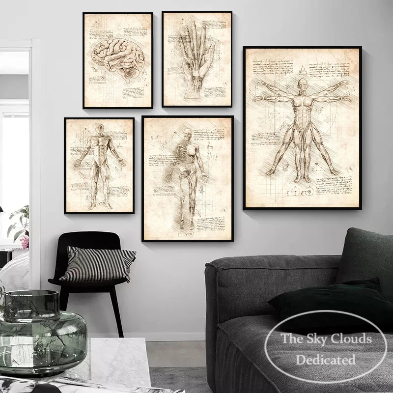 Toile de peinture d'anatomie médicale du corps humain, affiches murales imprimées HD, images d'art, décor esthétique de salon et de chambre à coucher, cadeau