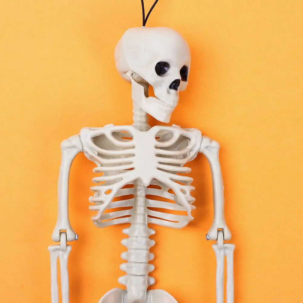 DIY Party Poseable Size Decoration Outdoor Halloween Human Skeleton Scary Props Poseable Size