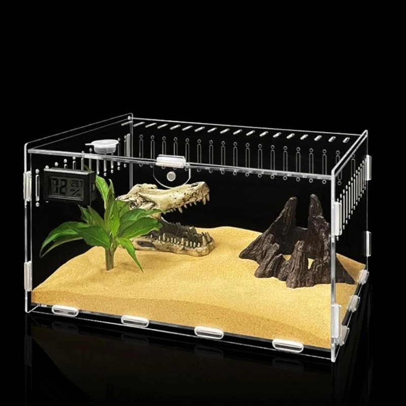 Reptiles alimentación caja alimentación Terrario acrílico Contenedor para arañas Lizards