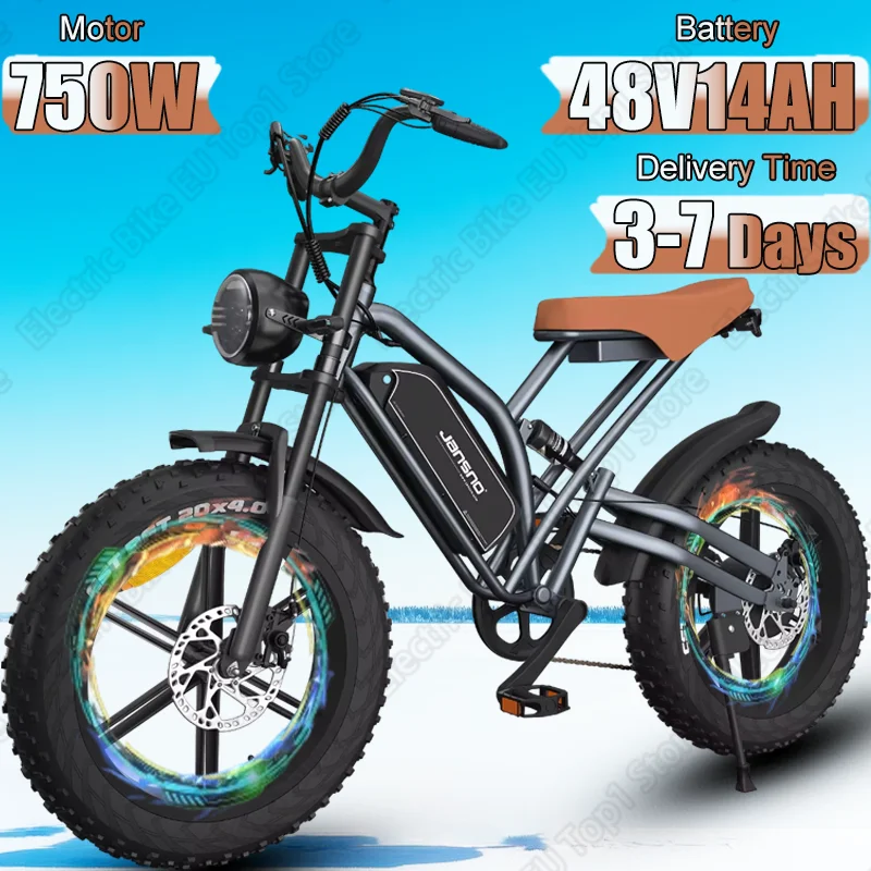 Electric Bicycle 750W Powerful Motor 48V14AH Lithium Battery E-bike 20*4 Inch All Terrain Fat Tire Adult Off-Road Electric Bike