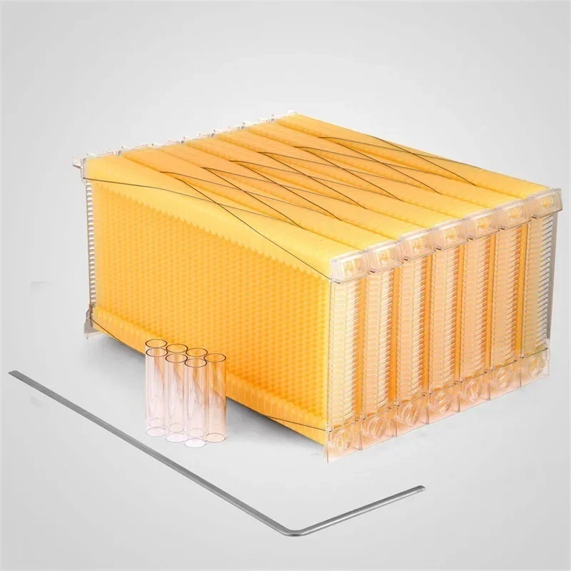 Self-flowing honey nest basic spleen beehive, basic plastic spleen self-flowing beehive