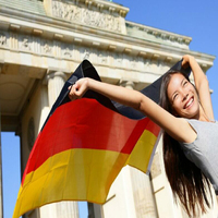 3x5ft Black Red Yellow De Deu German Deutschland Germany Flag