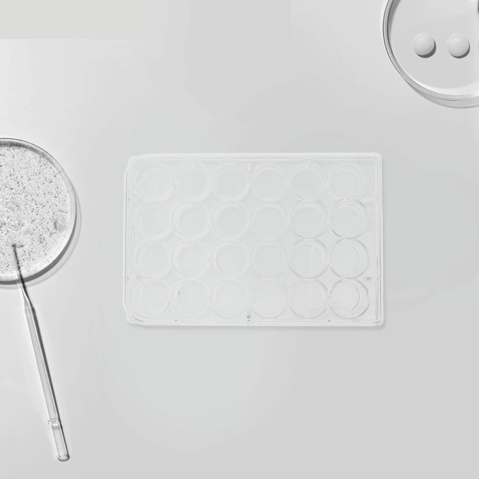 

2 Pcs Cell Culture Plate Chemistry Petri Plates Tray Round Bottom Lab Dishes Polystyrene Laboratory Holder