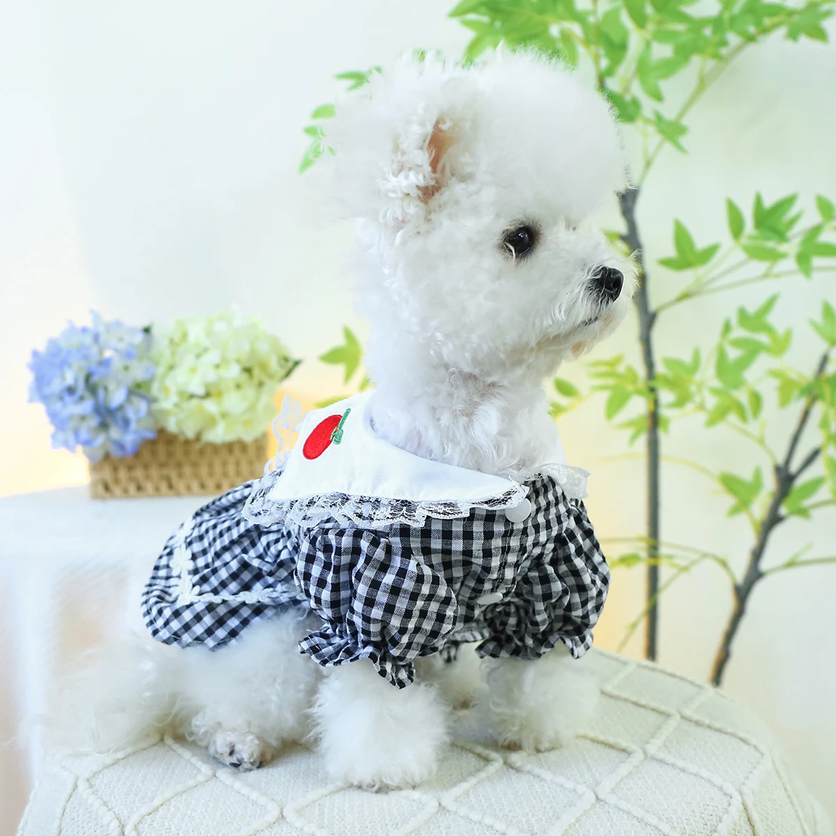 1PC Pet Clothing Cat Spring/Summer Thin Black and White Red Apple Skirt Suitable for Small and Medium Dogs