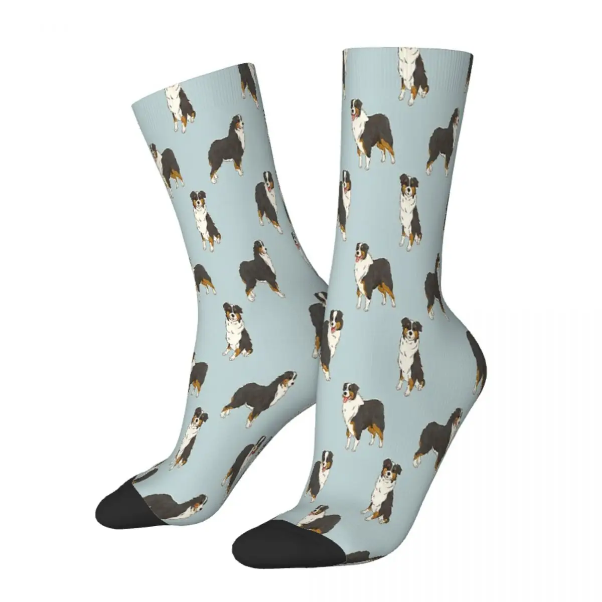 Black Tri Australian Shepherd Aussie Dog Australian Shepherd Meme Dog Doge Socks Male Mens Women Spring Stockings Harajuku