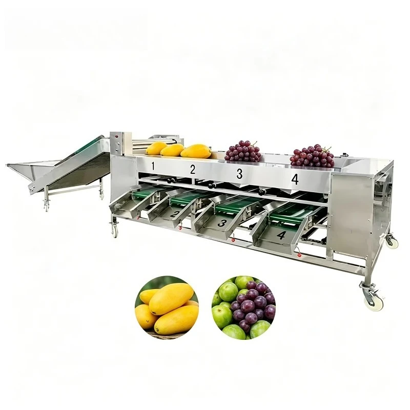 High Accuracy Efficient Mango Potato and Weight Grading Machine