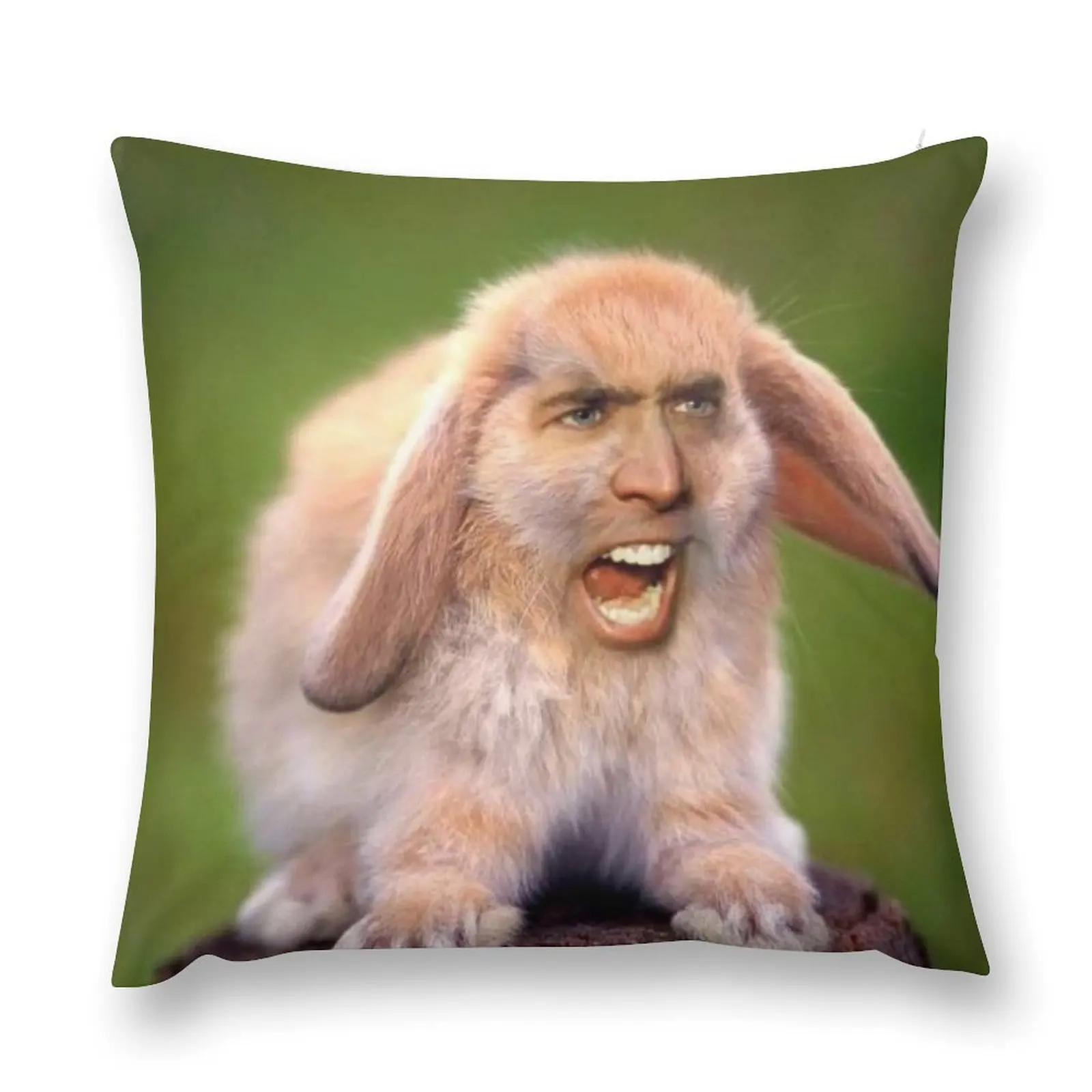 Nicholas Cage(d rabbit) Throw Pillow Decorative Sofa Cushions Christmas Pillows pillow