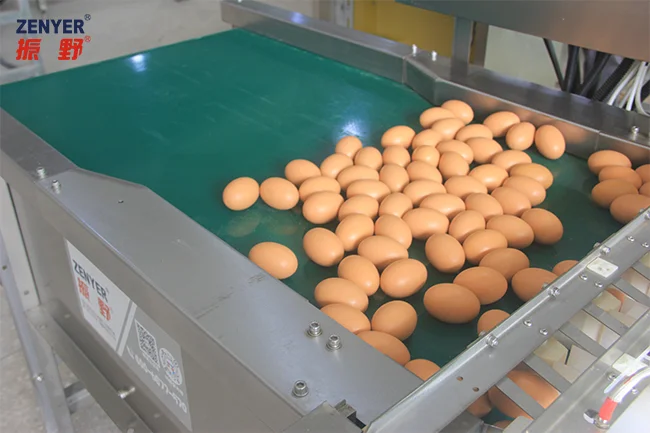 Top Level Manufacturer Chicken Egg Farm Packer Auto Packing Machine Egg Farm Equipment With Large Capacity