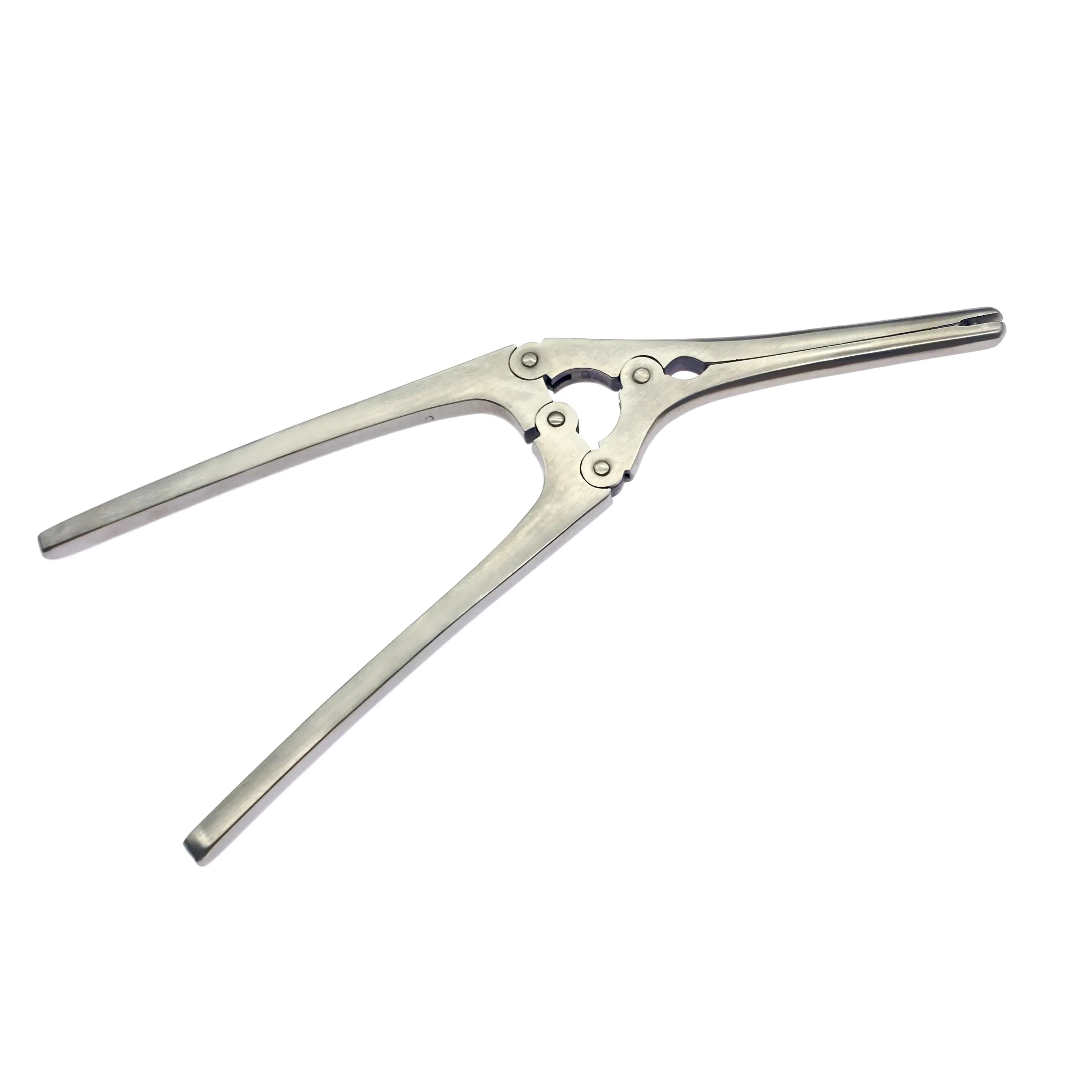 

Stainless Steel Stomach Forceps Clamp Surgical Forceps Surgical Instruments