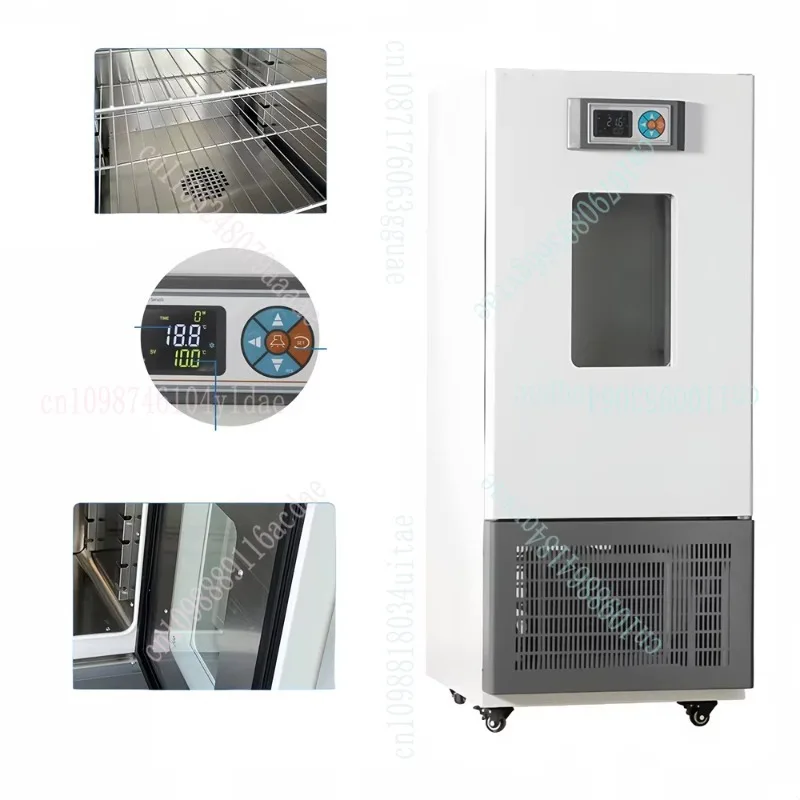 

Laboratory 40-65 degree 150 liters stainless steel inner tank heating chamber low temperature incubator