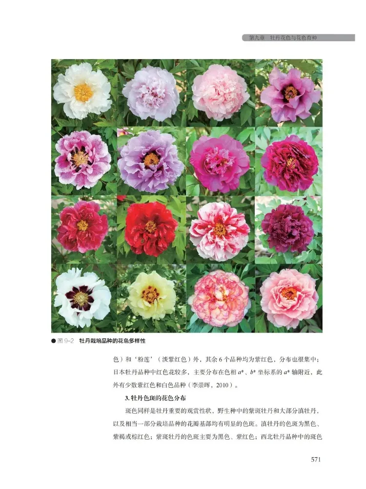 Book-Winshare Research and Utilization Of Chinese Peony Germplasm Resources