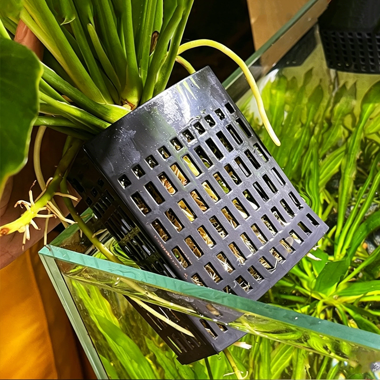 Aquarium Plant Holder - Aquarium Plant Holder with Extendable Hook