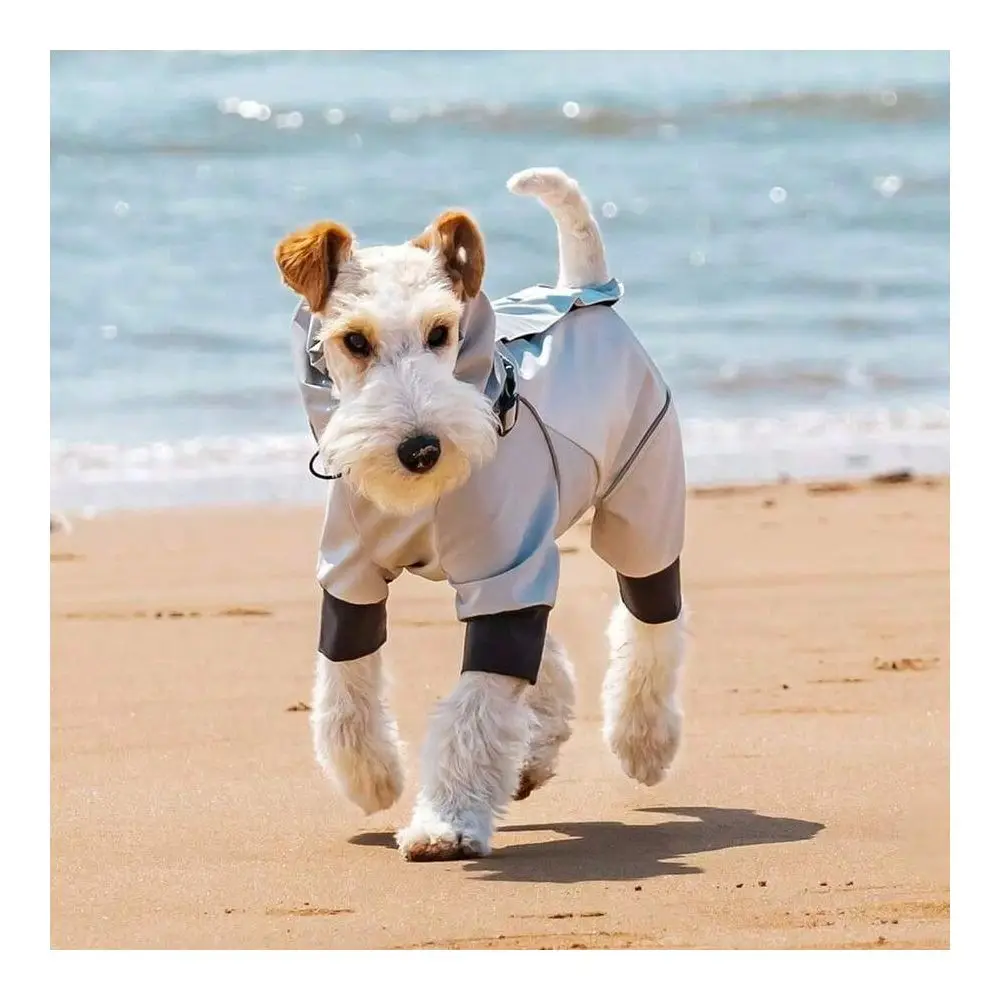 

Quality Pet Raincoat, Reflective Adjustable Collar With Leash Hole, Suitable Medium Small Dogs, Waterproof Outdoor Walking Spor
