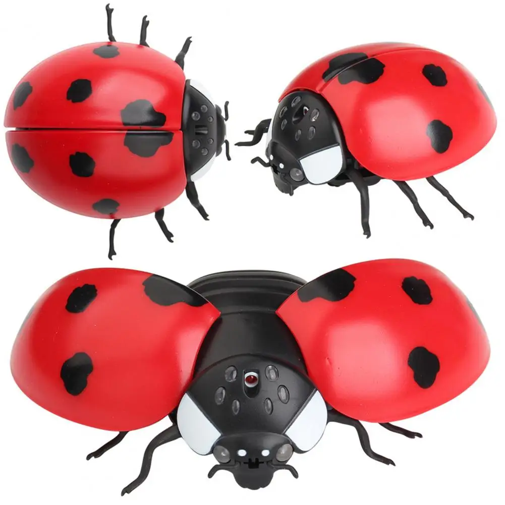 Giocattolo elettrico coccinella giocattolo divertente giocattolo a batteria telecomando coccinella per bambini modello realistico di mosche d'api con per ragazzi