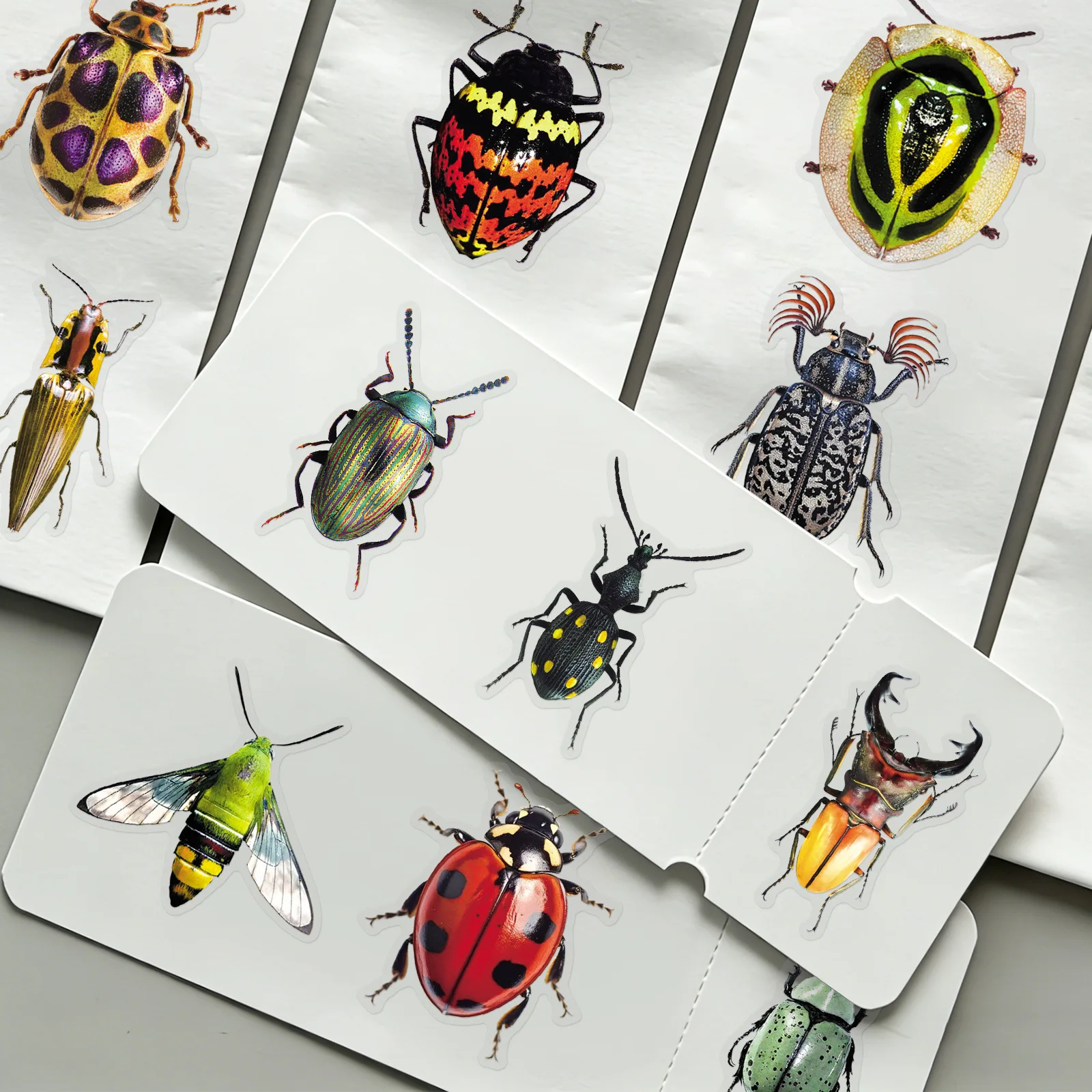 AliExpress NONE 50 Pcs Transparent insect Sticker DIY graffiti phone Luggage Laptop Guitar Bike Skateboard fridge Toy waterpro sticker Decoratio