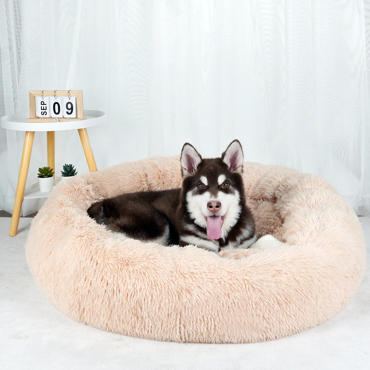 Thumbnail 3 - #22 Latest Puppy Beds Offers