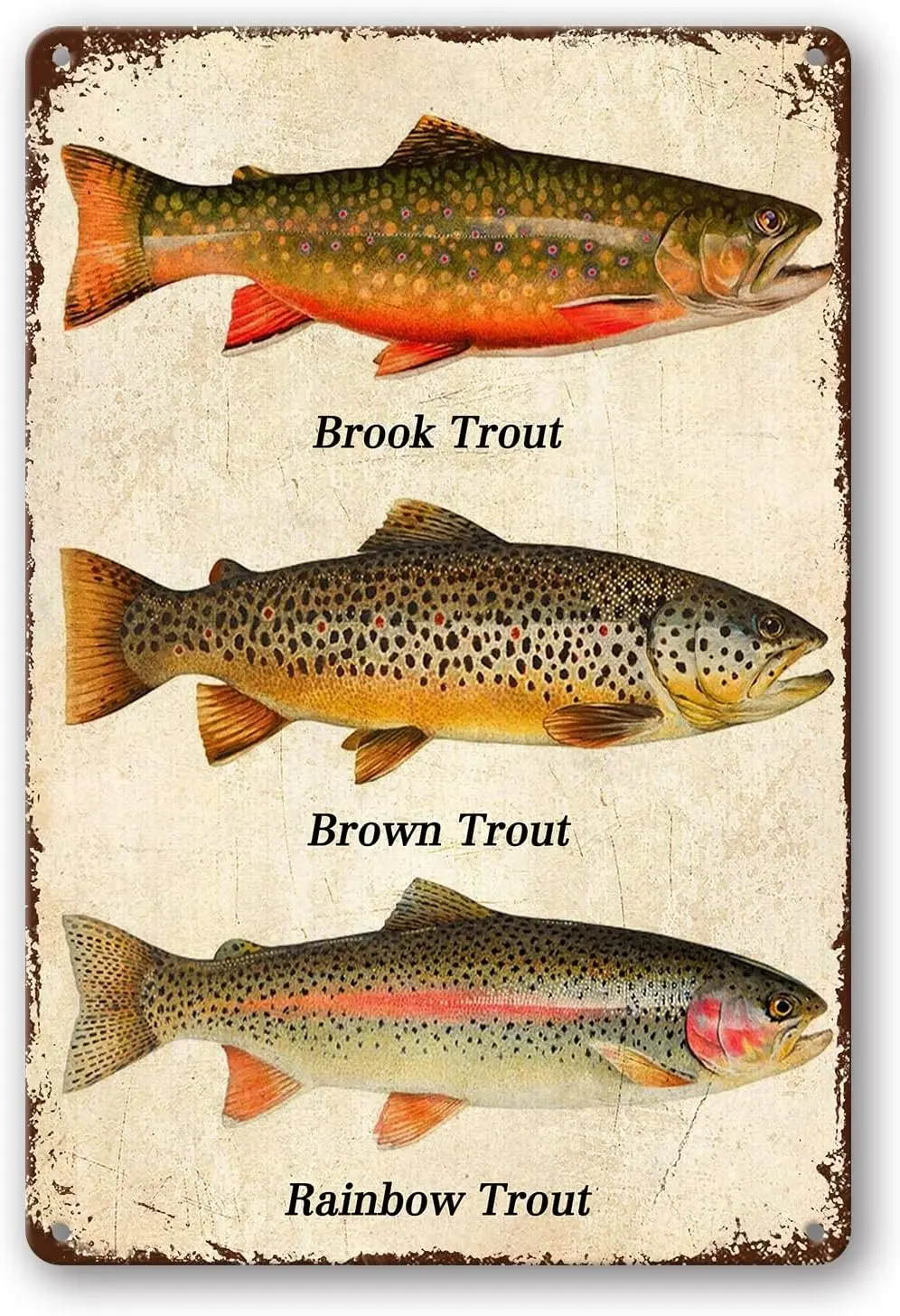 Fish Rainbow Trout Brook Trout Brown Trout Metal Tin Signs, Vintage Wall Decor Retro Art Tin Sign Funny Decorations For Home Bar