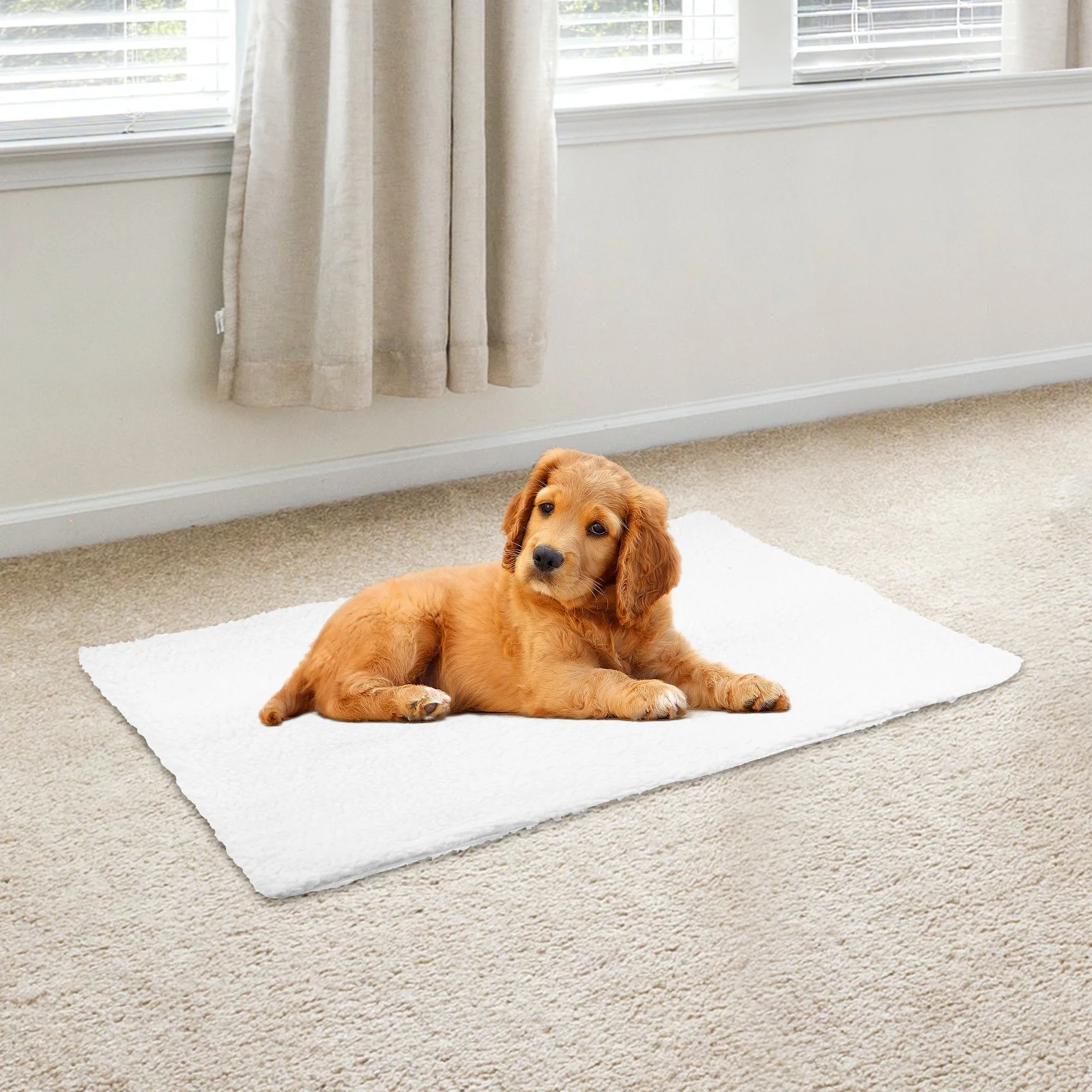 

2Pcs Self Heating Pet Mats with Heat Reflection Technology for Arthritis Relief Portable Comfortable for Sofa Floor Pet House