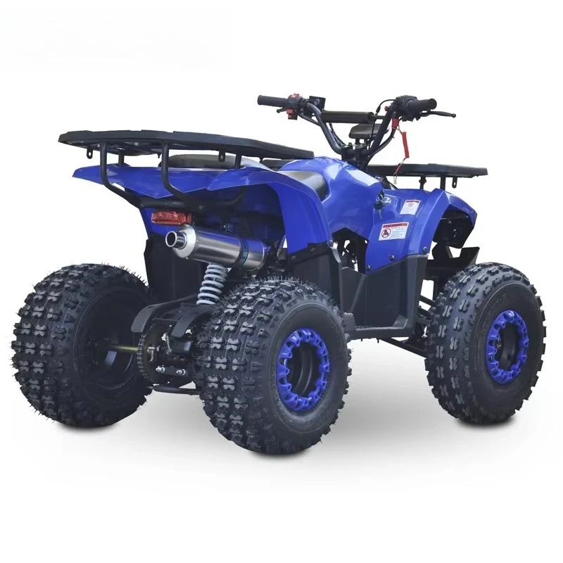 New Style Petrol 125cc 4 Stroke Chain Drive Four Wheeler Quad Bike ATV