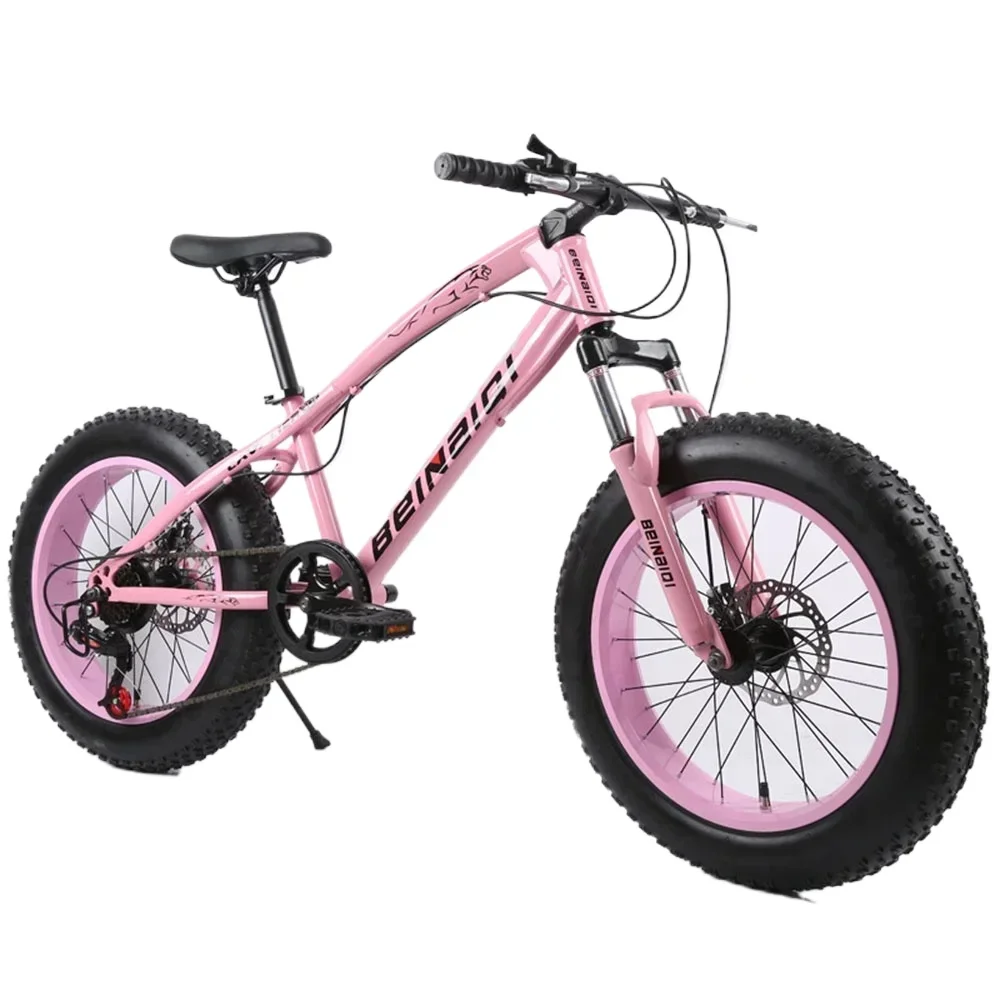 Snow Off Road Bike 20 Inch 7 Speed Spoke Wheel Steel Mtb 20x4.0 Tyre Bike Dual Disc Brake Mountain Beach Bicycle Outdoor